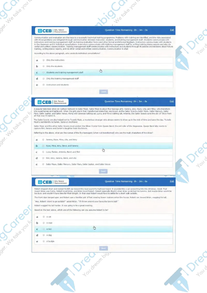 PwC2018校招English笔试原题_2025春招题库汇总_十大行测题库_2023年十大热门题库更新中_11、SH-1汇总_按年份分类_2018年新题_PWC普华永道