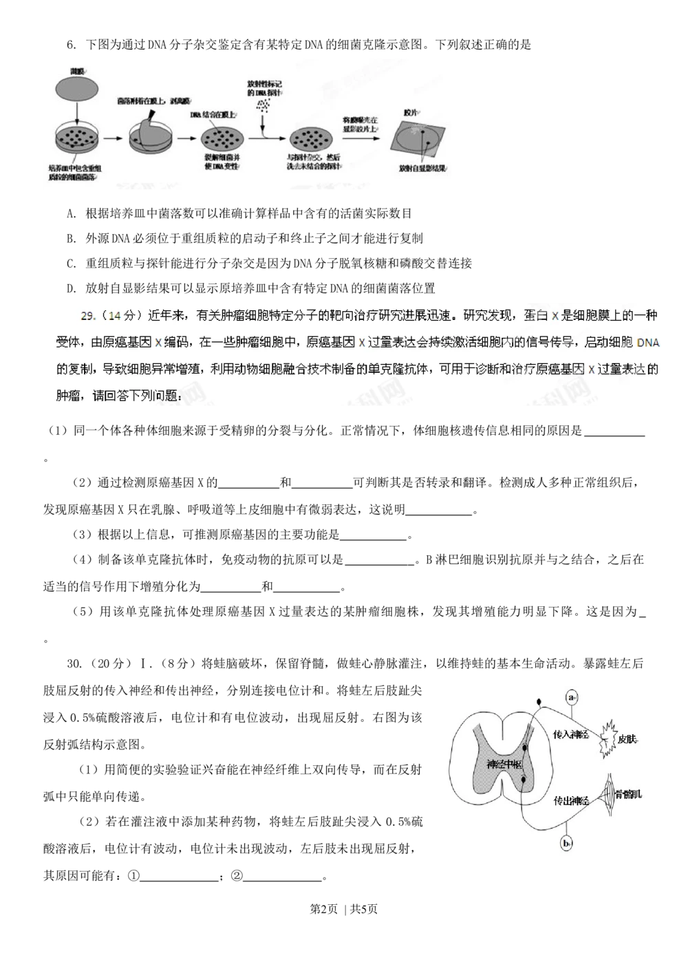 2013年高考生物试卷（安徽）（空白卷）_生物历年高考真题_新&middot;Word版2008-2025&middot;高考生物真题_生物（按年份分类）2008-2025_2013&middot;高考生物真题