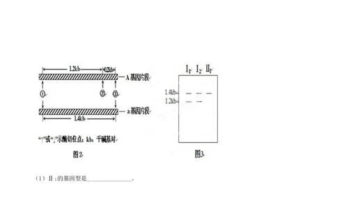 2013年高考生物试卷（安徽）（空白卷）_生物历年高考真题_新&middot;Word版2008-2025&middot;高考生物真题_生物（按年份分类）2008-2025_2013&middot;高考生物真题