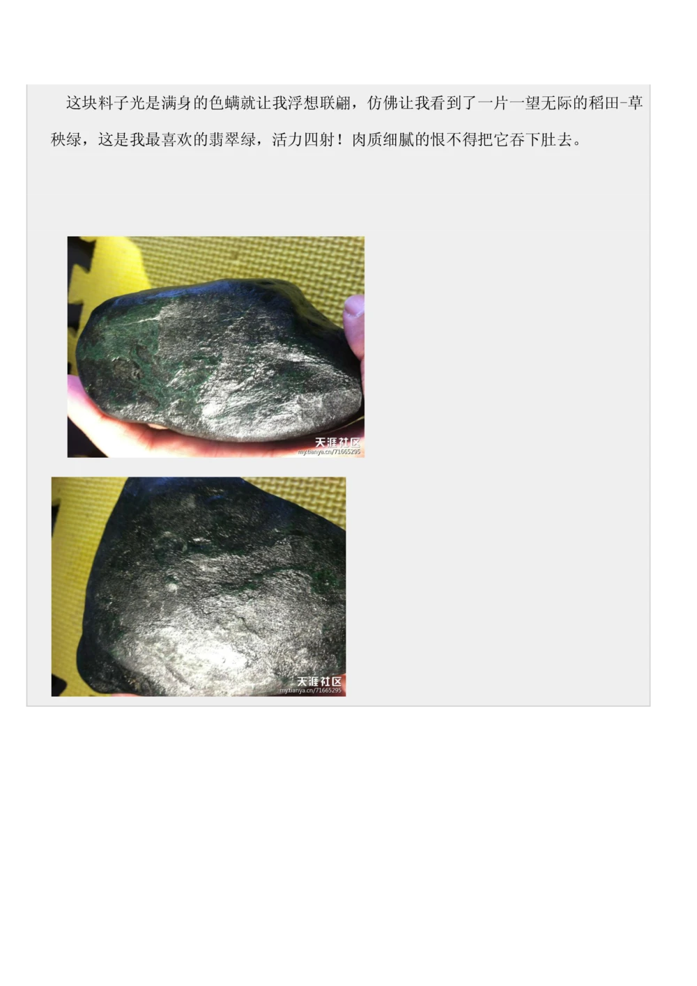 如何开好赌石店_X018-玉石珠宝鉴定教程最新合集_8、玉石翡翠鉴定与投资电子资料_赌石专题