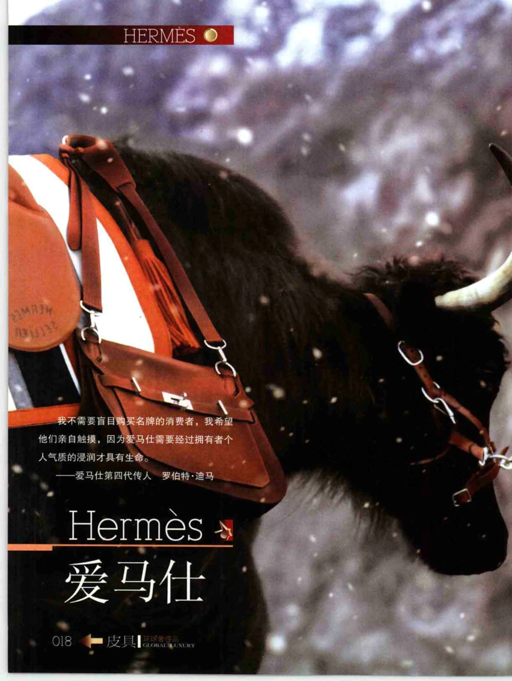 [环球奢侈品丛书&middot;皮具.]宿宁编著.插图版_X017-奢侈品鉴定教程最新合集_赠品3奢侈品培训电子书