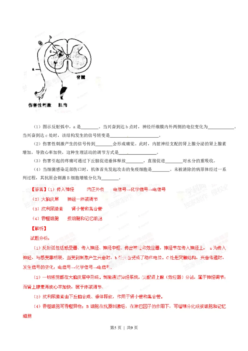 2014年高考生物试卷（四川）（解析卷）_生物历年高考真题_新&middot;PDF版2008-2025&middot;高考生物真题_生物（按试卷类型分类）2008-2025_自主命题卷&middot;生物（2008-2025）_四川自主命题&middot;生物（2008-2016）