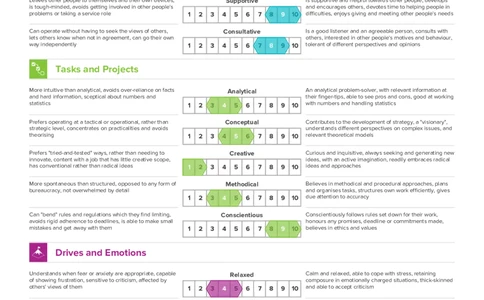 Sample_Report_Dimens-Narrative&Trait_2025春招题库汇总_十大行测题库_2023年十大热门题库更新中_05、TalentQ汇总_TalentQ测试题（适合大多数外资银行以及其他企业）
