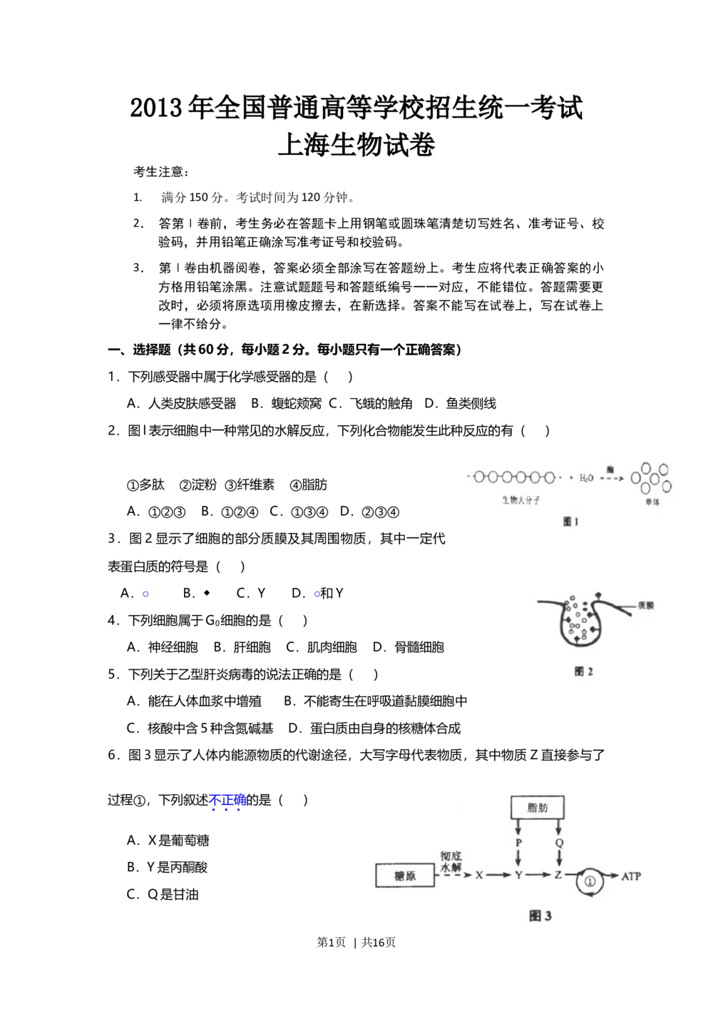 2013年高考生物试卷（上海）（空白卷）_生物历年高考真题_新&middot;Word版2008-2025&middot;高考生物真题_生物（按省份分类）2008-2025_2008-2022&middot;（上海）生物高考真题