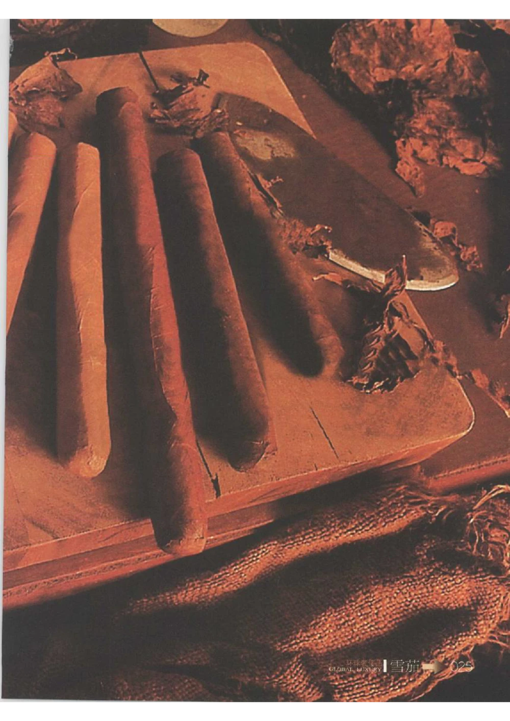 [环球奢侈品丛书&middot;雪茄].芦令怡编著.插图版_X017-奢侈品鉴定教程最新合集_赠品3奢侈品培训电子书