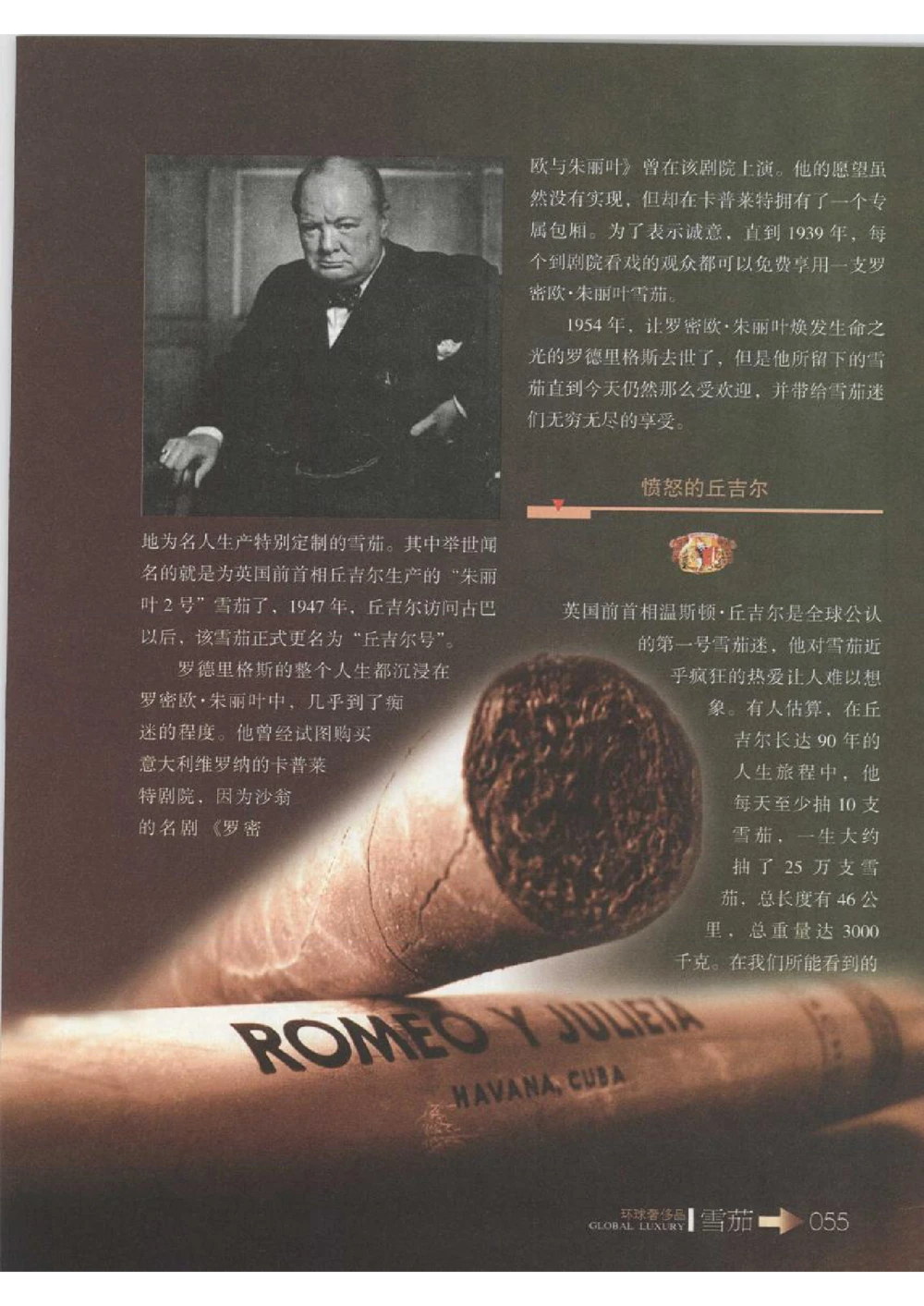 [环球奢侈品丛书&middot;雪茄].芦令怡编著.插图版_X017-奢侈品鉴定教程最新合集_赠品3奢侈品培训电子书