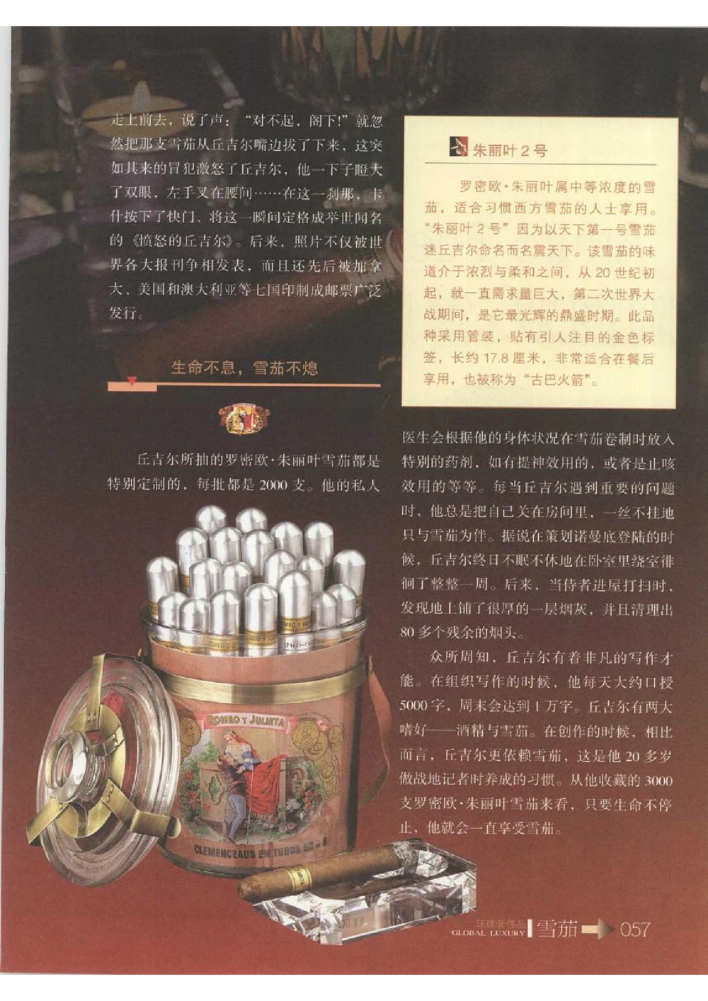 [环球奢侈品丛书&middot;雪茄].芦令怡编著.插图版_X017-奢侈品鉴定教程最新合集_赠品3奢侈品培训电子书