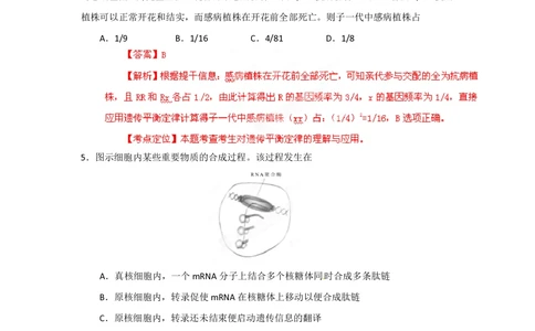 2012年高考生物试卷（安徽）（解析卷）_生物历年高考真题_新&middot;PDF版2008-2025&middot;高考生物真题_生物（按年份分类）2008-2025_2012&middot;高考生物真题