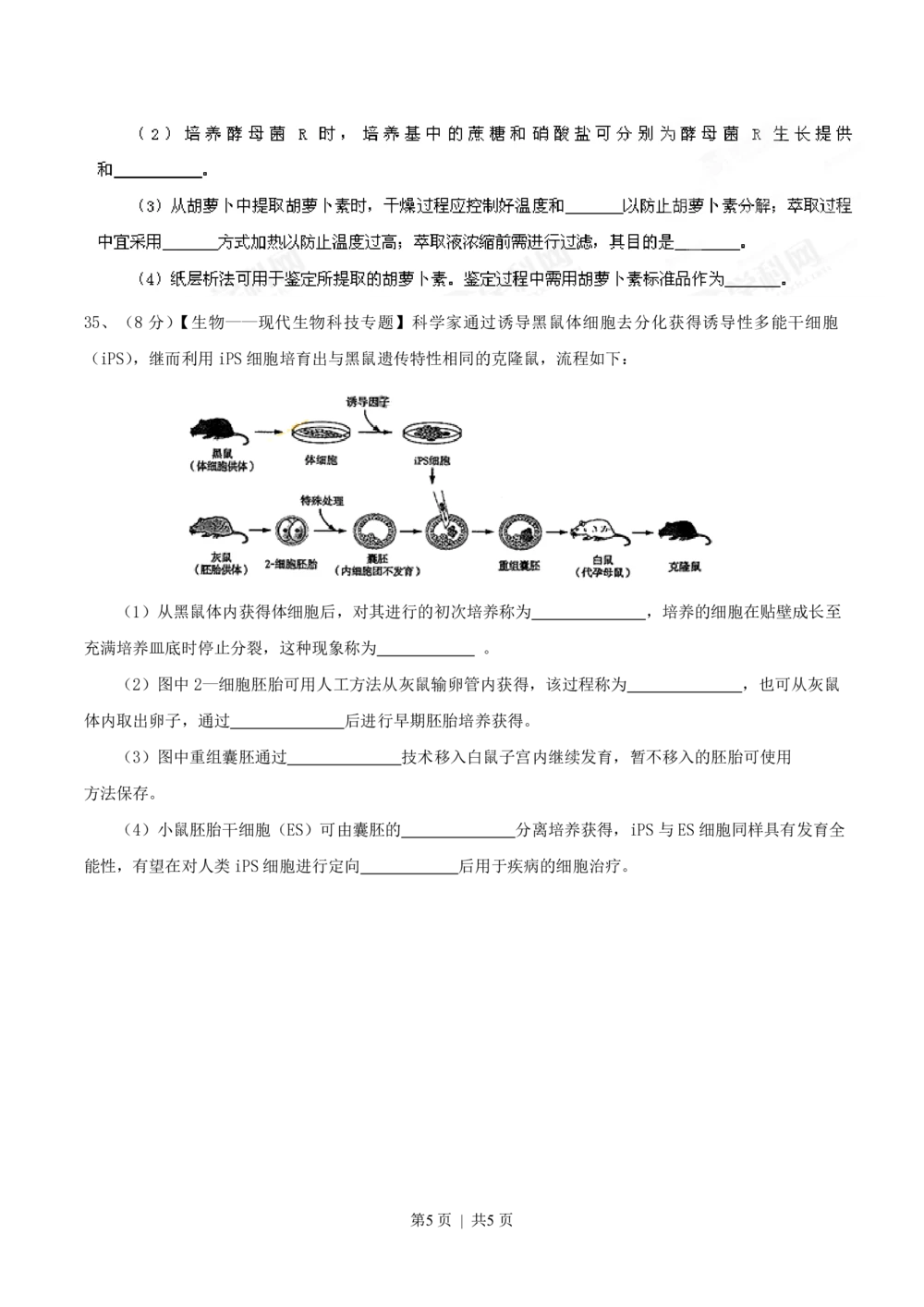 2013年高考生物试卷（山东）（空白卷）_生物历年高考真题_新&middot;PDF版2008-2025&middot;高考生物真题_生物（按试卷类型分类）2008-2025_自主命题卷&middot;生物（2008-2025）