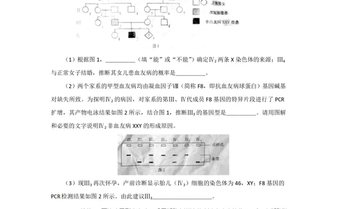 2012年高考生物试卷（安徽）（空白卷）_生物历年高考真题_新&middot;PDF版2008-2025&middot;高考生物真题_生物（按年份分类）2008-2025_2012&middot;高考生物真题