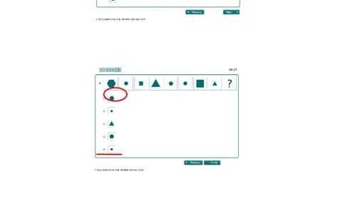 SC-Logic2-渣打笔试题目（16道）_2025春招题库汇总_十大行测题库_2023年十大热门题库更新中_05、TalentQ汇总_TalentQ笔试题库中文_05、TalentQ（图文版-参考）中文英文都有