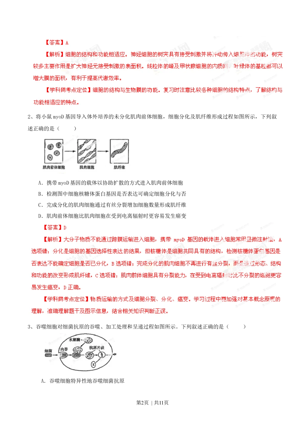 2013年高考生物试卷（山东）（解析卷）_生物历年高考真题_新&middot;Word版2008-2025&middot;高考生物真题_生物（按省份分类）2008-2025_2008-2025&middot;（山东）生物高考真题