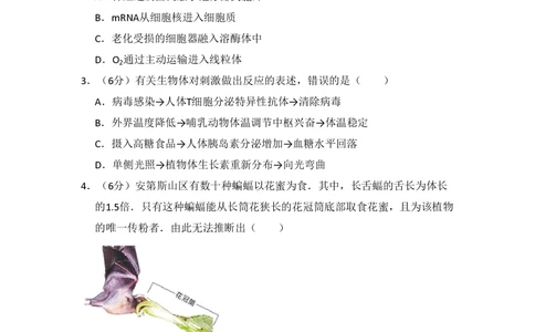2013年高考生物试卷（北京）（空白卷）_生物历年高考真题_新&middot;PDF版2008-2025&middot;高考生物真题_生物（按试卷类型分类）2008-2025_自主命题卷&middot;生物（2008-2025）_北京自主命题&middot;生物（2008-2025）