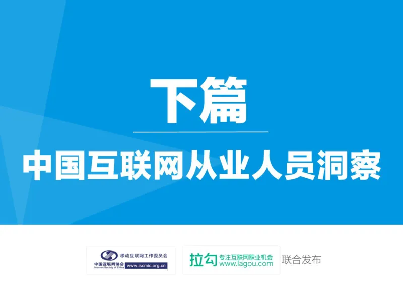 中国互联网招聘行业报告_2025春招题库汇总_银行题库-1_银行全套上岸资料_500套面试话术_06常用招聘渠道_网络招聘