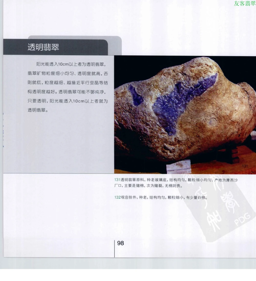 [翡翠级别标样集].摩太.扫描版_X018-玉石珠宝鉴定教程最新合集_6、翡翠鉴定专题全套课程_翡翠电子书_翡翠鉴赏_51-60