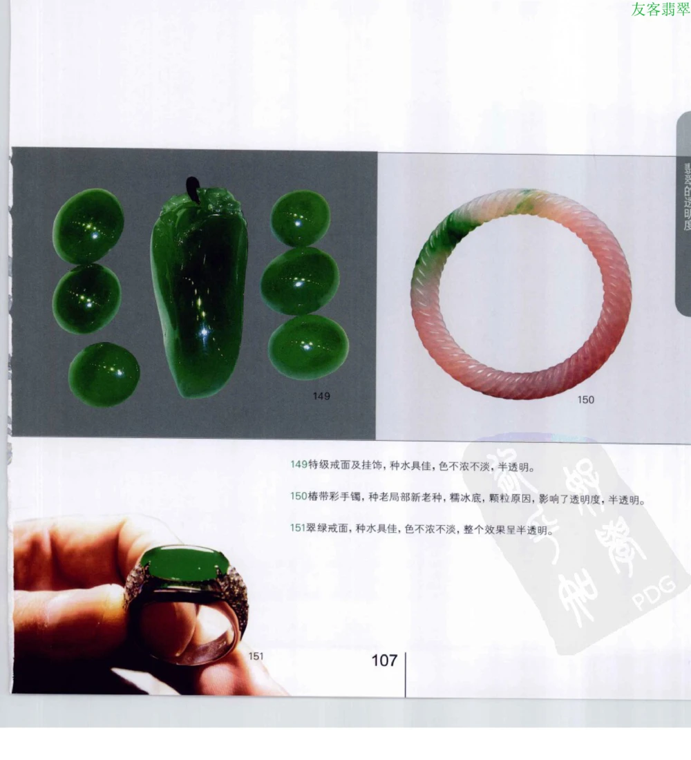[翡翠级别标样集].摩太.扫描版_X018-玉石珠宝鉴定教程最新合集_6、翡翠鉴定专题全套课程_翡翠电子书_翡翠鉴赏_51-60