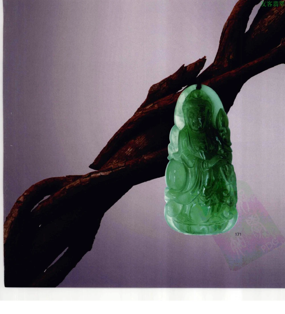[翡翠级别标样集].摩太.扫描版_X018-玉石珠宝鉴定教程最新合集_6、翡翠鉴定专题全套课程_翡翠电子书_翡翠鉴赏_51-60