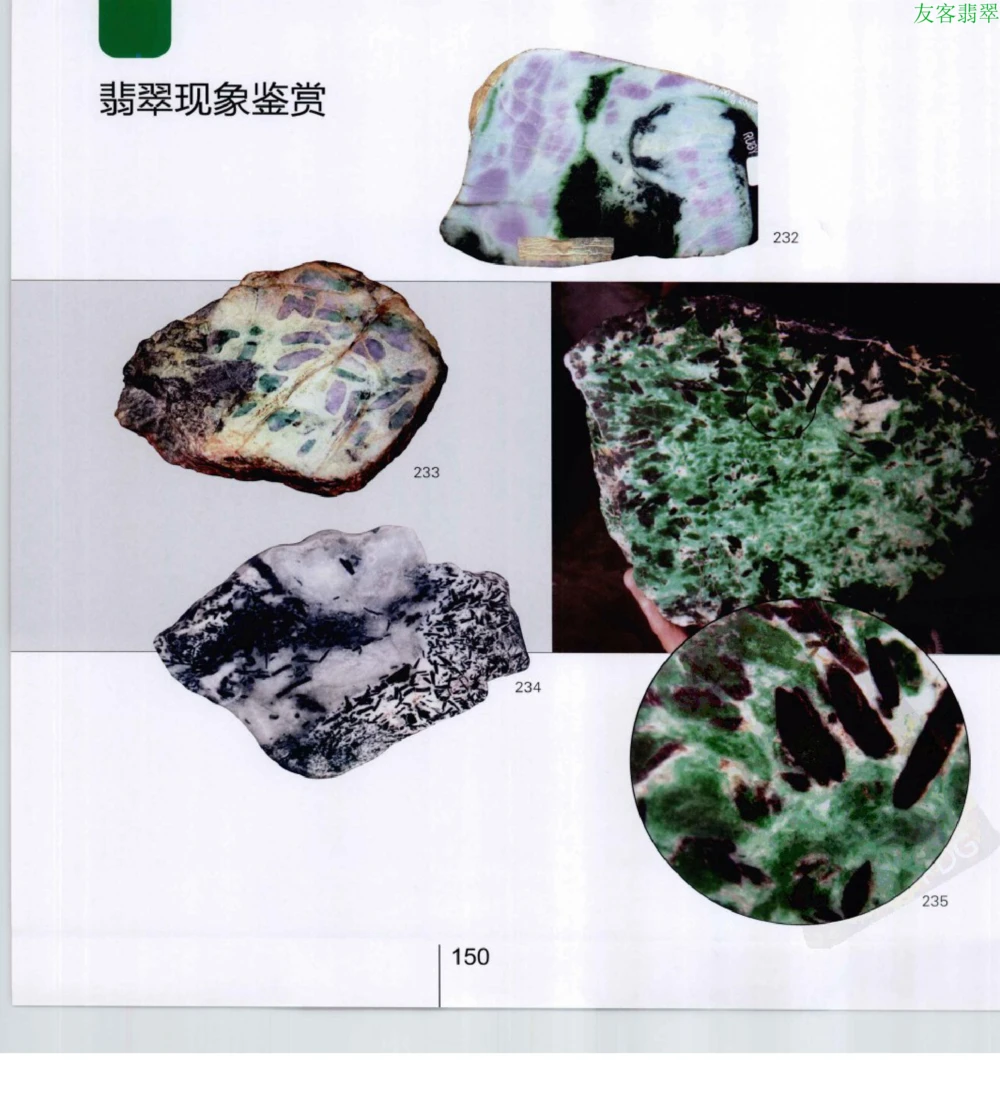 [翡翠级别标样集].摩太.扫描版_X018-玉石珠宝鉴定教程最新合集_6、翡翠鉴定专题全套课程_翡翠电子书_翡翠鉴赏_51-60