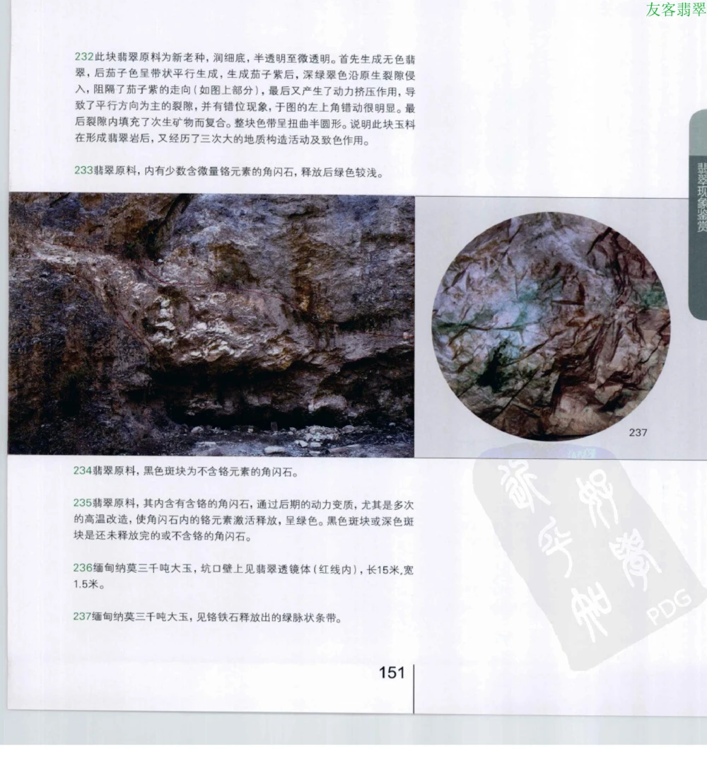 [翡翠级别标样集].摩太.扫描版_X018-玉石珠宝鉴定教程最新合集_6、翡翠鉴定专题全套课程_翡翠电子书_翡翠鉴赏_51-60