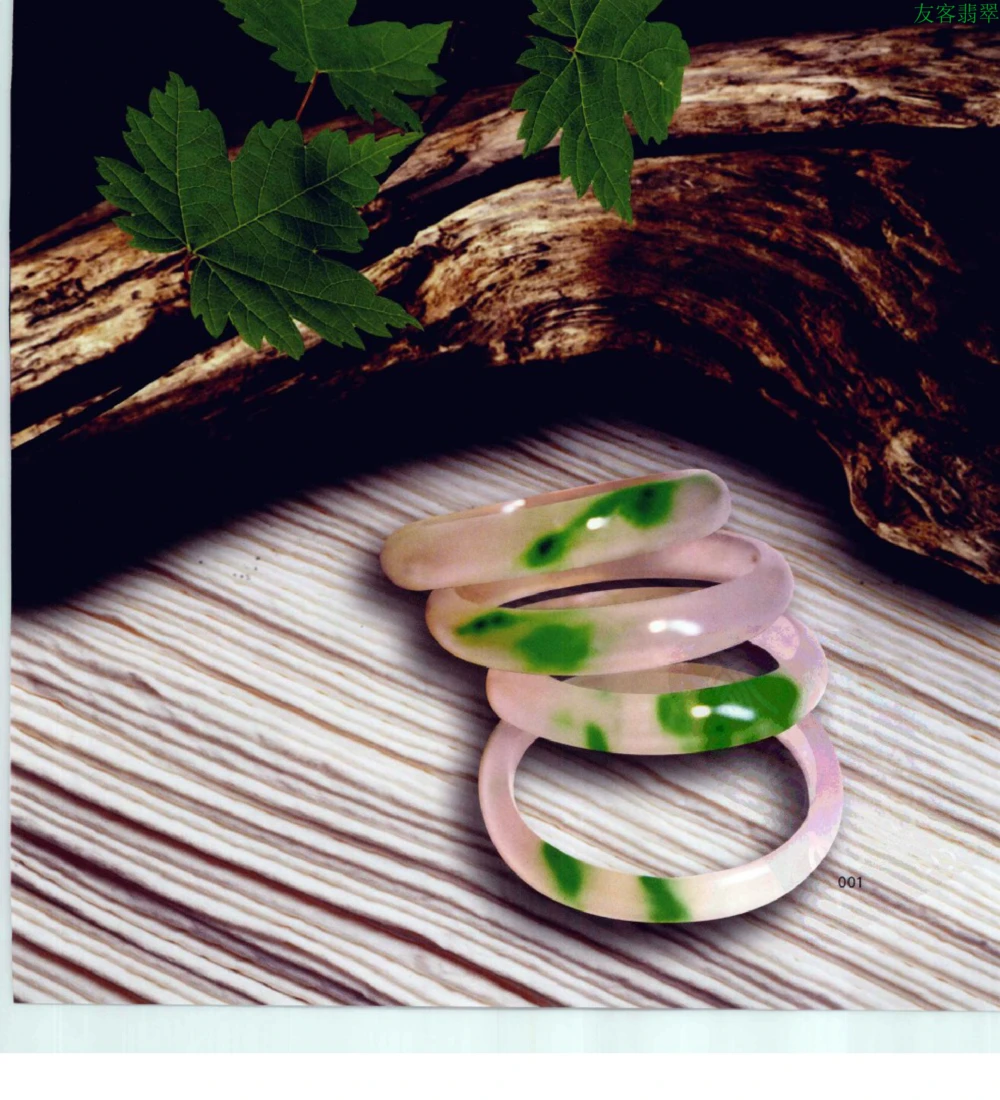 [翡翠级别标样集].摩太.扫描版_X018-玉石珠宝鉴定教程最新合集_6、翡翠鉴定专题全套课程_翡翠电子书_翡翠鉴赏_51-60