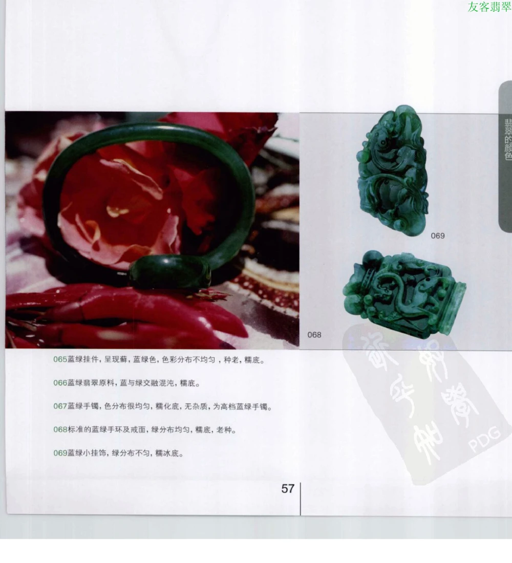 [翡翠级别标样集].摩太.扫描版_X018-玉石珠宝鉴定教程最新合集_6、翡翠鉴定专题全套课程_翡翠电子书_翡翠鉴赏_51-60