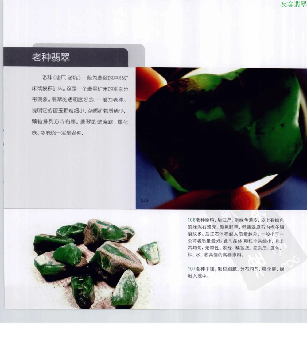 [翡翠级别标样集].摩太.扫描版_X018-玉石珠宝鉴定教程最新合集_6、翡翠鉴定专题全套课程_翡翠电子书_翡翠鉴赏_51-60