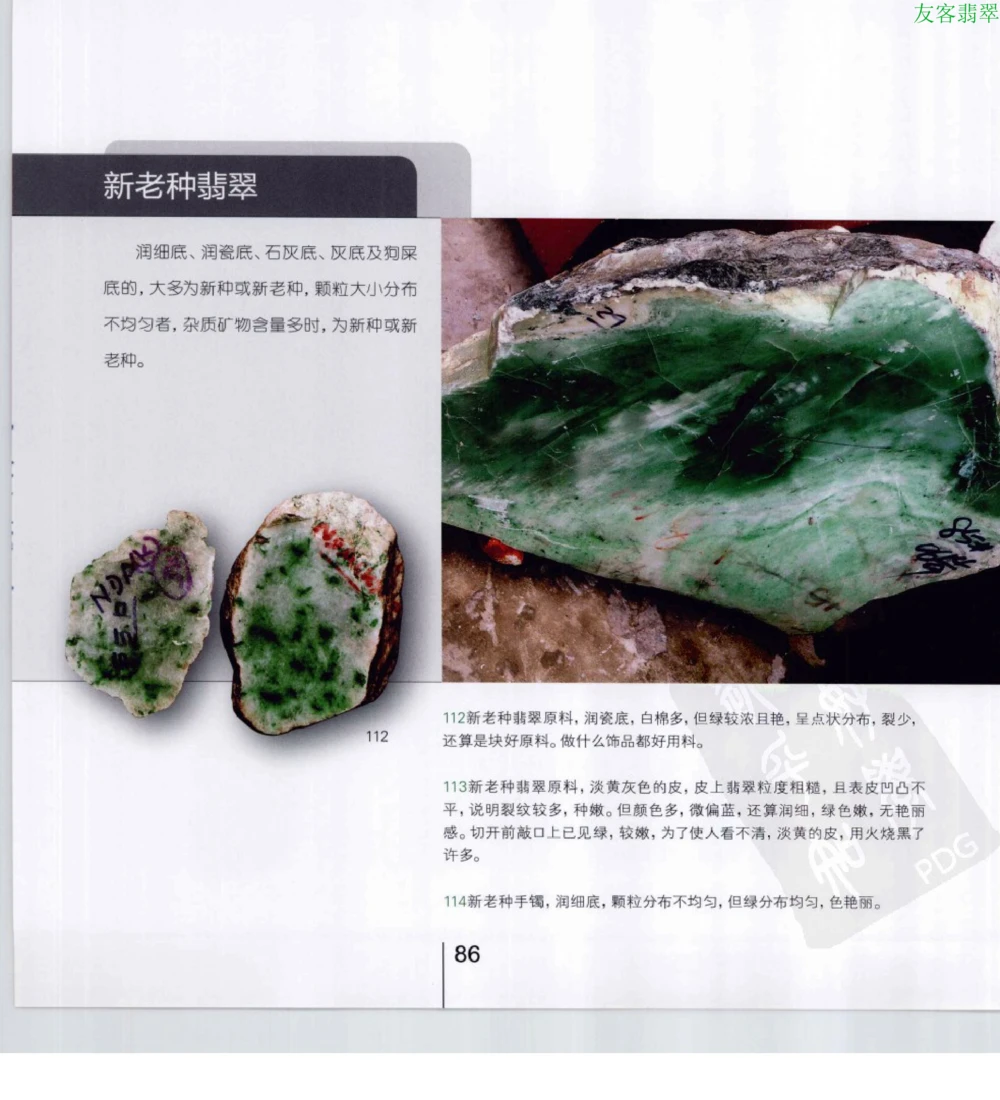 [翡翠级别标样集].摩太.扫描版_X018-玉石珠宝鉴定教程最新合集_6、翡翠鉴定专题全套课程_翡翠电子书_翡翠鉴赏_51-60