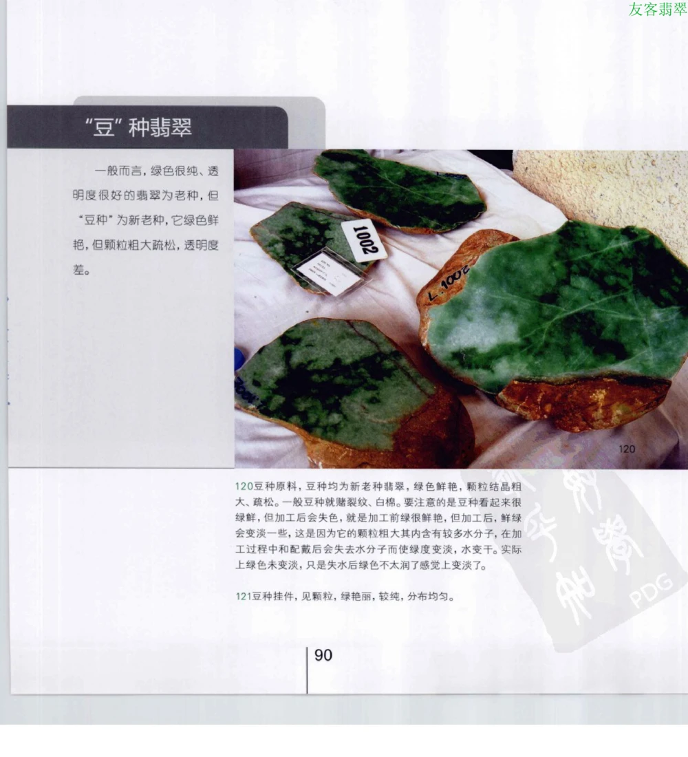 [翡翠级别标样集].摩太.扫描版_X018-玉石珠宝鉴定教程最新合集_6、翡翠鉴定专题全套课程_翡翠电子书_翡翠鉴赏_51-60
