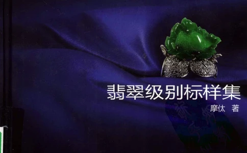 [翡翠级别标样集].摩太.扫描版_X018-玉石珠宝鉴定教程最新合集_6、翡翠鉴定专题全套课程_翡翠电子书_翡翠鉴赏_51-60