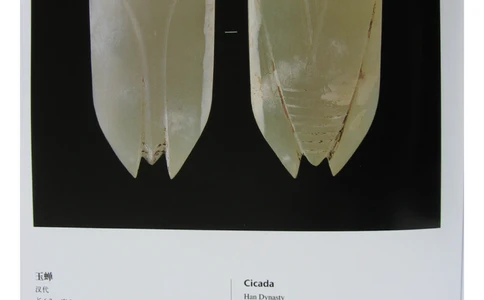 中国出土玉器全集(6)+安徽_部分3_X018-玉石珠宝鉴定教程最新合集_5、玉石鉴定专题全套课程_玉石电子书_中国出土玉石全集