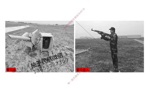 002（机场环境基本要求、运输机场分类）-黑白_2026年一级建造师_2026年一建民航_2025年一建民航SVIP_02-基础精讲✿高端面授✿深度强化_05-民航《教材精讲班》柚子SMR推荐