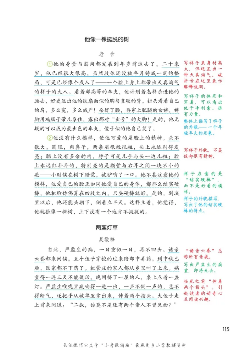 五年级下册语文部编版课堂笔记（博小优）_小学初中学霸笔记类资料汇总6.33GB_小学同步课堂笔记2.76GB_1~6年级全册语文部编版课堂笔记