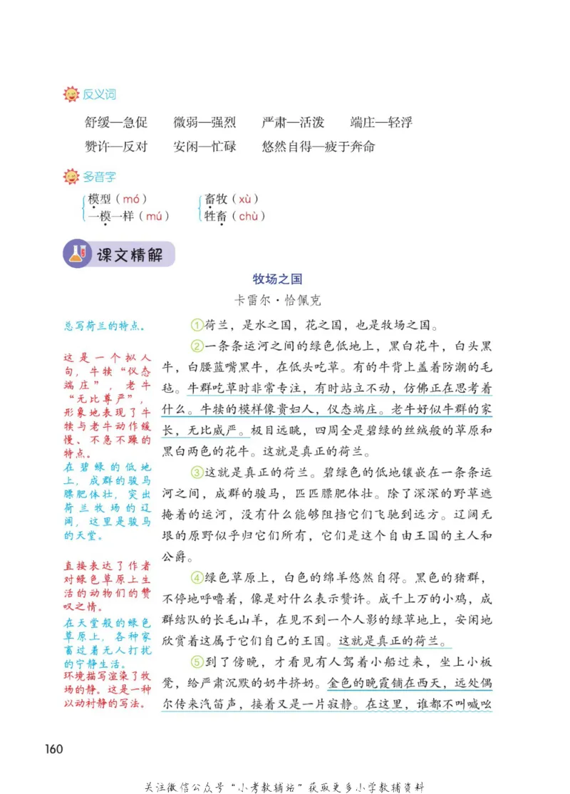 五年级下册语文部编版课堂笔记（博小优）_小学初中学霸笔记类资料汇总6.33GB_小学同步课堂笔记2.76GB_1~6年级全册语文部编版课堂笔记