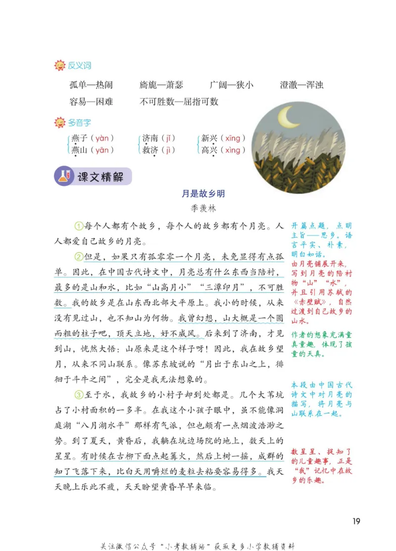 五年级下册语文部编版课堂笔记（博小优）_小学初中学霸笔记类资料汇总6.33GB_小学同步课堂笔记2.76GB_1~6年级全册语文部编版课堂笔记