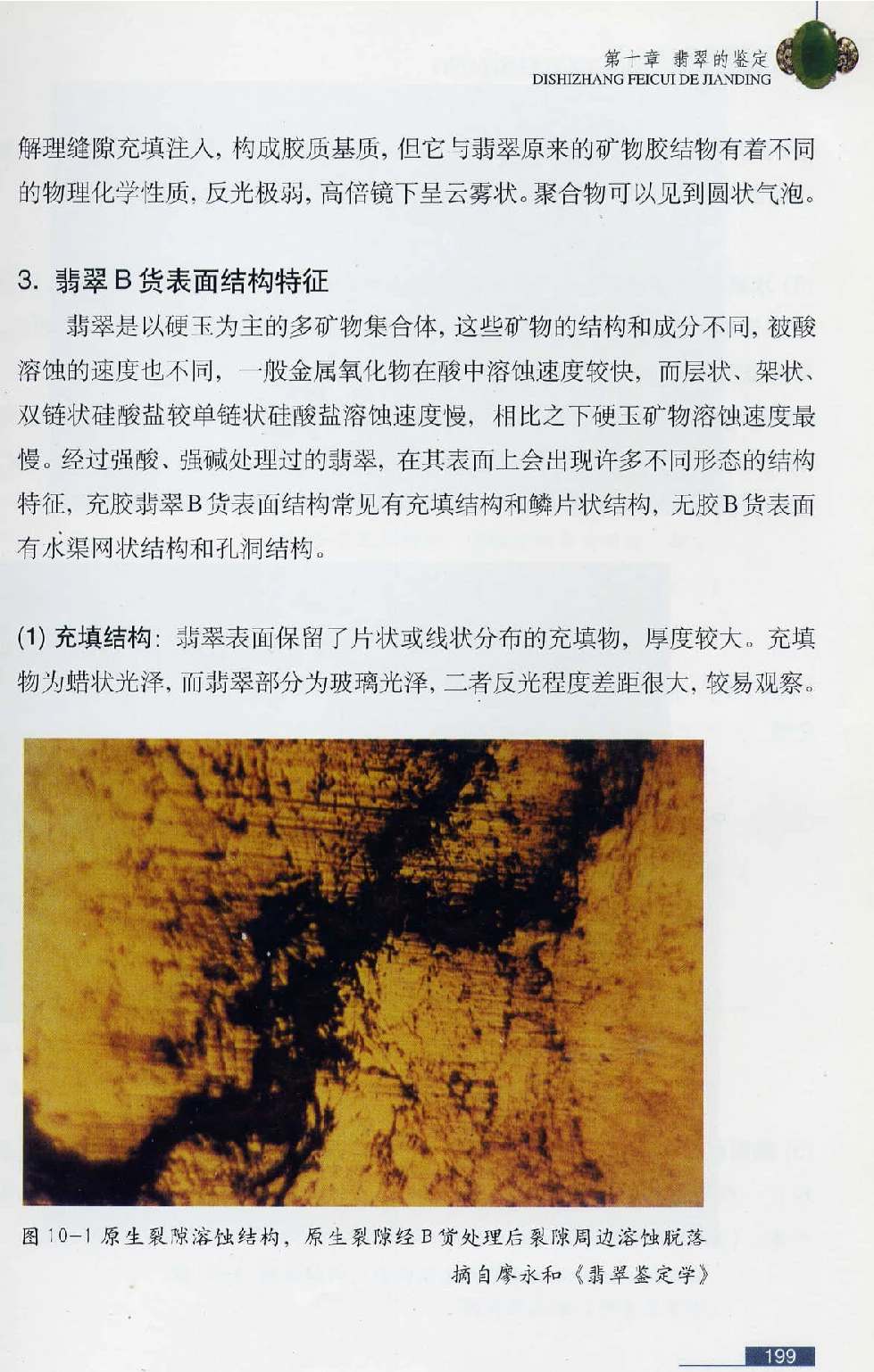 [翡翠鉴赏-珠宝玉石鉴赏珍藏版].翡翠鉴赏_X018-玉石珠宝鉴定教程最新合集_6、翡翠鉴定专题全套课程_翡翠电子书_翡翠鉴赏_51-60