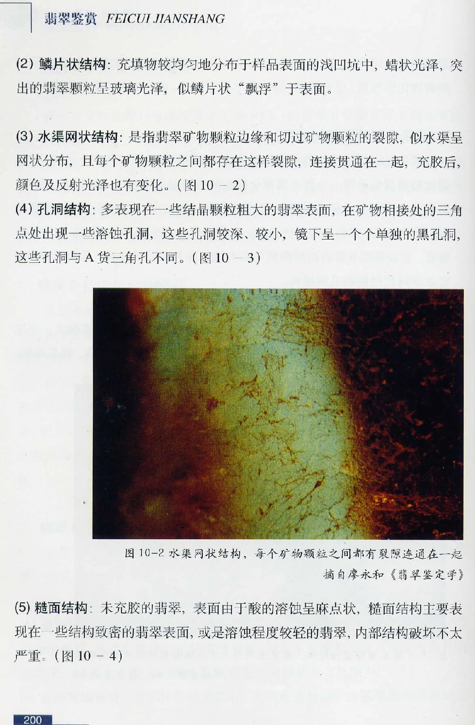 [翡翠鉴赏-珠宝玉石鉴赏珍藏版].翡翠鉴赏_X018-玉石珠宝鉴定教程最新合集_6、翡翠鉴定专题全套课程_翡翠电子书_翡翠鉴赏_51-60