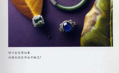 [翡翠鉴赏-珠宝玉石鉴赏珍藏版].翡翠鉴赏_X018-玉石珠宝鉴定教程最新合集_6、翡翠鉴定专题全套课程_翡翠电子书_翡翠鉴赏_51-60