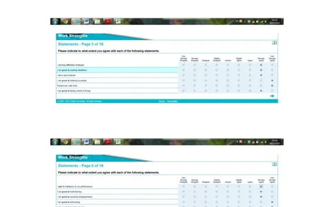 SHL性格测试-英文题_2025春招题库汇总_十大行测题库_2023年十大热门题库更新中_11、SH-1汇总_题型分类_分题型整理-性格测试&工作优势（中文＋英文）