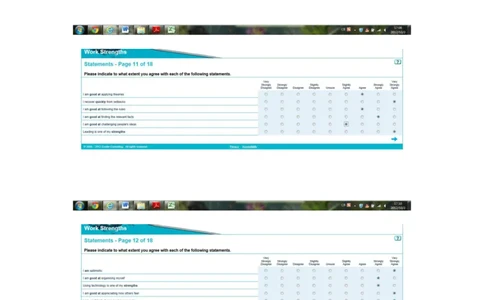 SHL性格测试-英文题_2025春招题库汇总_十大行测题库_2023年十大热门题库更新中_11、SH-1汇总_题型分类_分题型整理-性格测试&工作优势（中文＋英文）