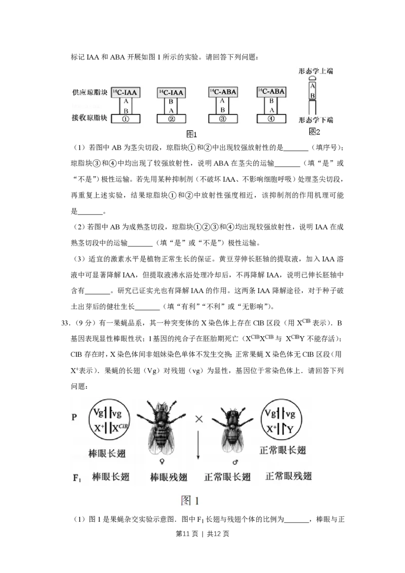 2014年高考生物试卷（江苏）（空白卷）_生物历年高考真题_新&middot;PDF版2008-2025&middot;高考生物真题_生物（按试卷类型分类）2008-2025_自主命题卷&middot;生物（2008-2025）_江苏自主命题&middot;生物（2008-2025）