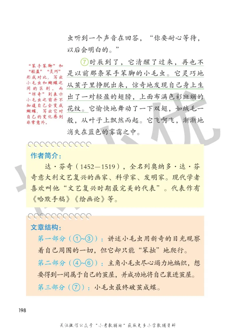 二年级下册语文部编版课堂笔记（博小优）_小学初中学霸笔记类资料汇总6.33GB_小学同步课堂笔记2.76GB_1~6年级全册语文部编版课堂笔记