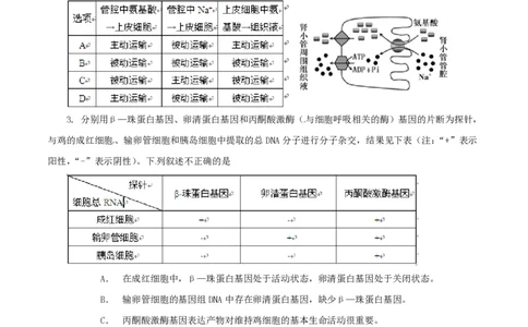 2014年高考生物试卷（安徽）（空白卷）_生物历年高考真题_新&middot;PDF版2008-2025&middot;高考生物真题_生物（按试卷类型分类）2008-2025_自主命题卷&middot;生物（2008-2025）