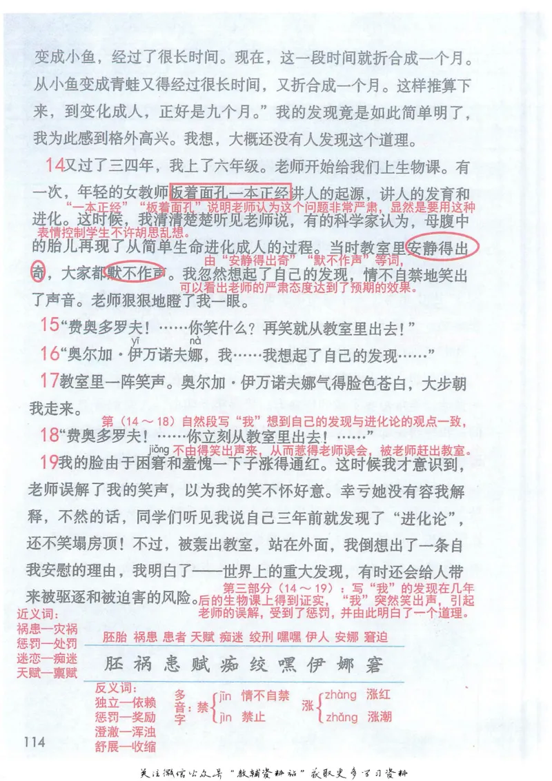 五年级下册语文部编版课堂笔记（抖音版）_小学初中学霸笔记类资料汇总6.33GB_小学同步课堂笔记2.76GB_1~6年级全册语文部编版课堂笔记