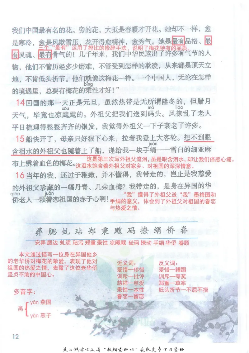 五年级下册语文部编版课堂笔记（抖音版）_小学初中学霸笔记类资料汇总6.33GB_小学同步课堂笔记2.76GB_1~6年级全册语文部编版课堂笔记