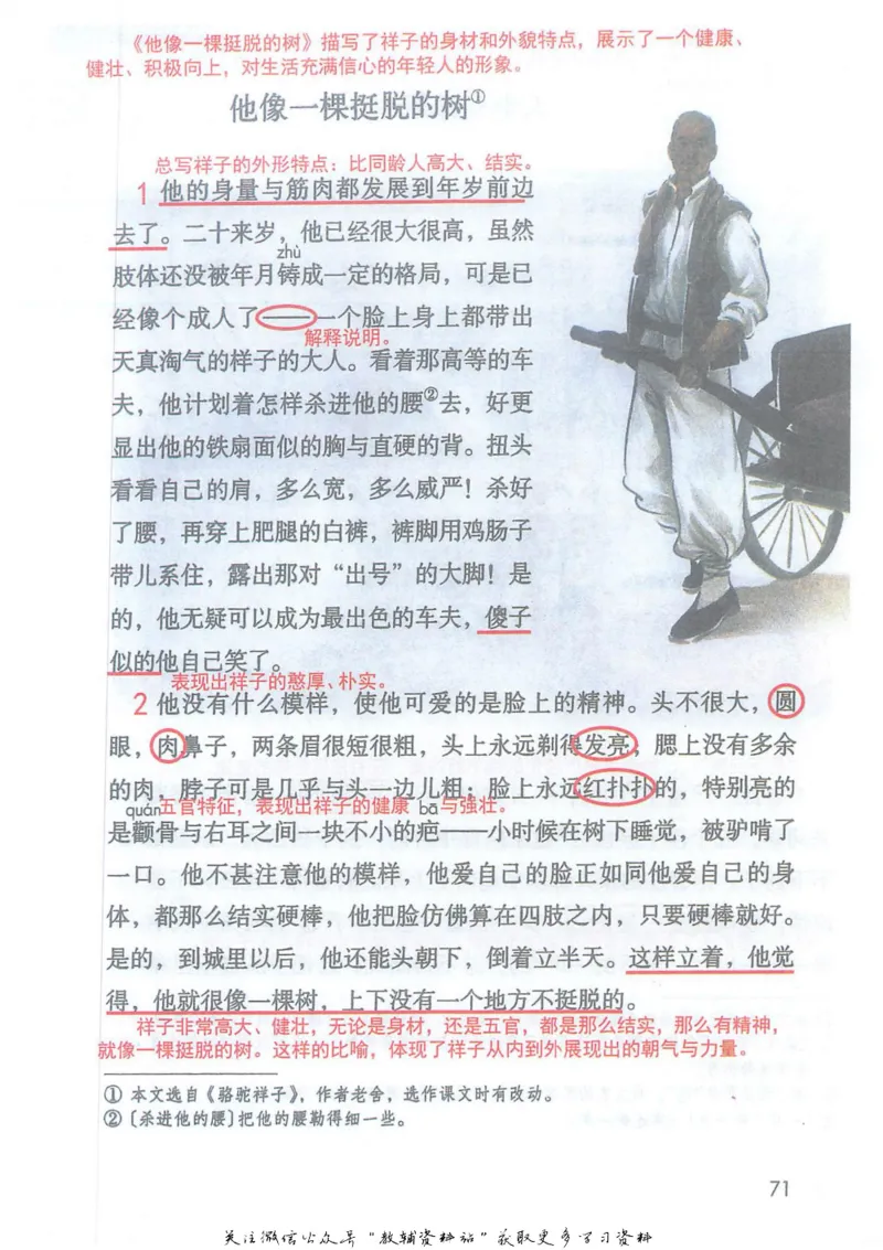 五年级下册语文部编版课堂笔记（抖音版）_小学初中学霸笔记类资料汇总6.33GB_小学同步课堂笔记2.76GB_1~6年级全册语文部编版课堂笔记