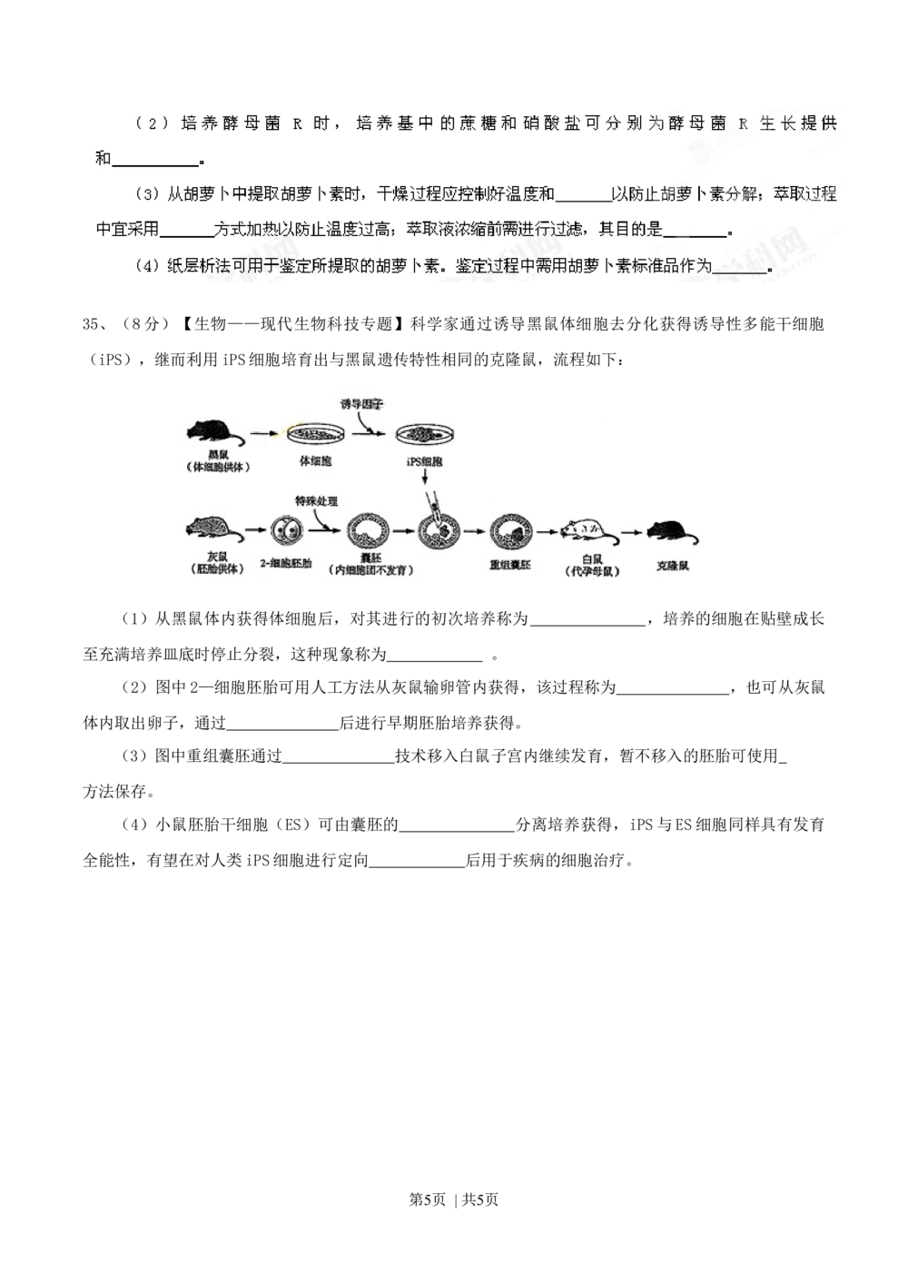 2013年高考生物试卷（山东）（空白卷）_生物历年高考真题_新&middot;Word版2008-2025&middot;高考生物真题_生物（按年份分类）2008-2025_2013&middot;高考生物真题