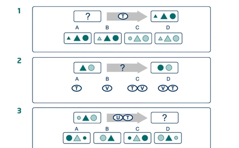 Preparation_Guide_Diagrammatic_Analysis_DA_INTE_2025春招题库汇总_快消题库-1_快消汇总_2023百威最新题库（GMAT、saville）_往年真题题库_saville题库