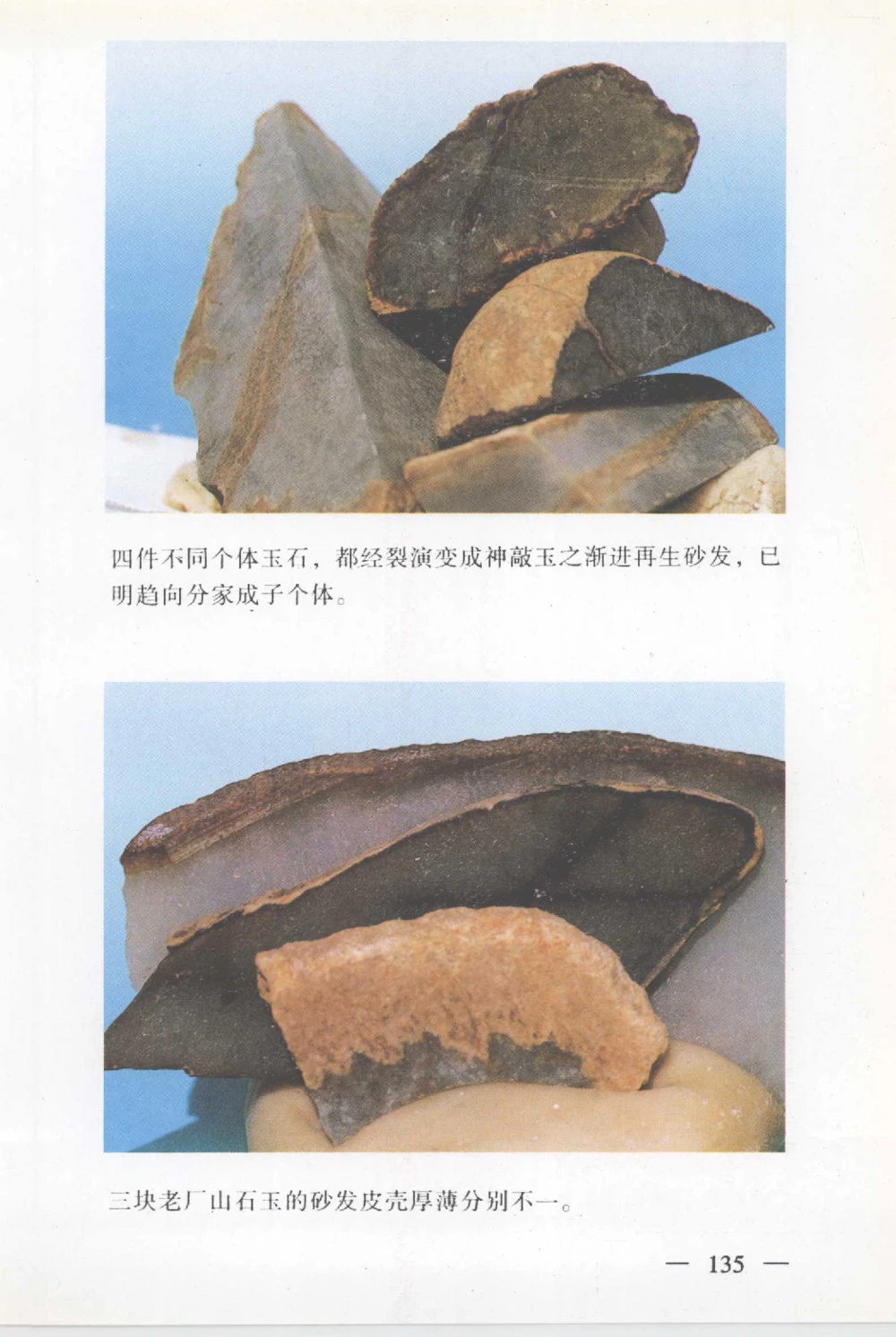 云南相玉学_X018-玉石珠宝鉴定教程最新合集_6、翡翠鉴定专题全套课程_翡翠电子书_翡翠鉴赏_01-10