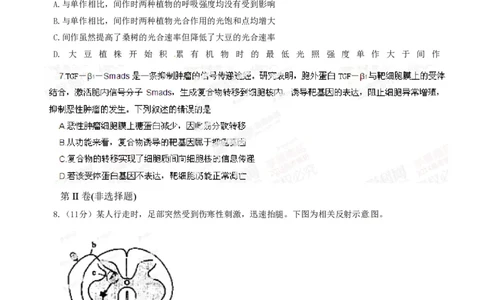 2014年高考生物试卷（四川）（空白卷）_生物历年高考真题_新&middot;PDF版2008-2025&middot;高考生物真题_生物（按试卷类型分类）2008-2025_自主命题卷&middot;生物（2008-2025）_四川自主命题&middot;生物（2008-2016）