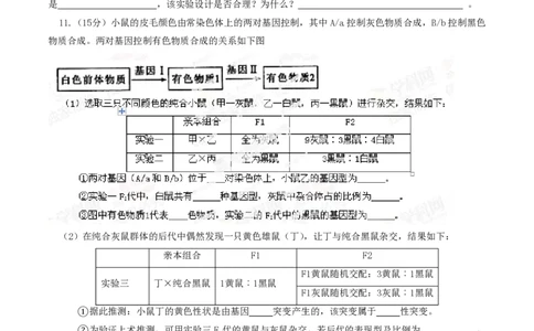 2014年高考生物试卷（四川）（空白卷）_生物历年高考真题_新&middot;PDF版2008-2025&middot;高考生物真题_生物（按试卷类型分类）2008-2025_自主命题卷&middot;生物（2008-2025）_四川自主命题&middot;生物（2008-2016）